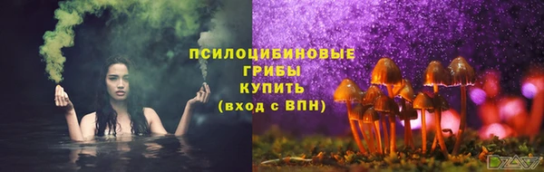 не бодяженный Инсар