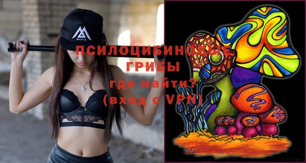 не бодяженный Инсар