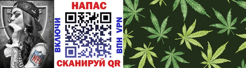 Бошки Шишки план  Купить  Дубна 